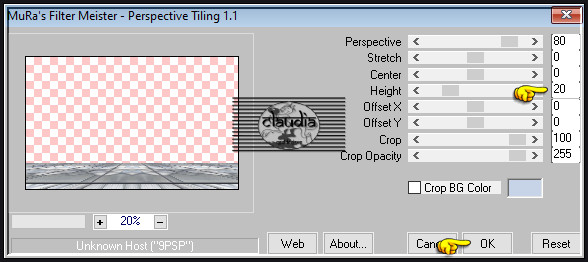 Effecten - Insteekfilters - MuRa's Meister - Perspective Tiling