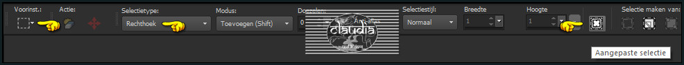 Activeer het Selectiegereedschap (toets S op het toetsenbord) - Aangepaste selectie