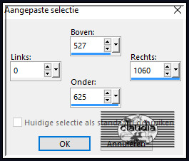 Activeer het Selectiegereedschap (toets S op het toetsenbord) - Aangepaste selectie en voer deze getallen in