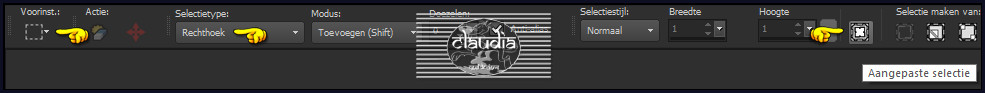 Activeer het Selectiegereedschap (toets S op het toetsenbord) - Aangepaste selectie