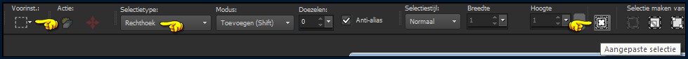Activeer het Selectiegereedschap (toets S op het toetsenbord) - Aangepaste selectie :