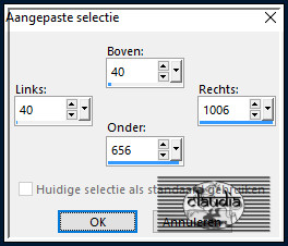 Activeer het Selectiegereedschap (toets S op het toetsenbord) - Aangepaste selectie en voer deze getallen in :