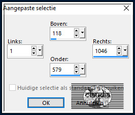 Activeer het Selectiegereedschap (toets S op het toetsenbord) - Aangepaste selectie en voer deze getallen in :