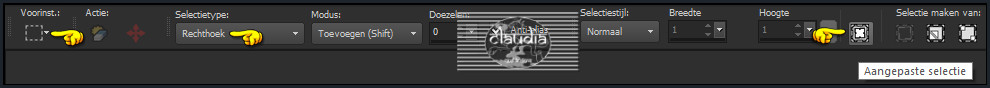 Activeer het Selectiegereedschap (toets S op het toetsenbord) - Aangepaste selectie :