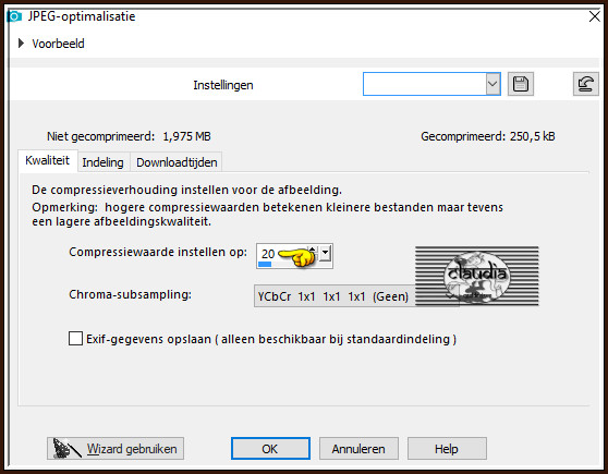 Sla je werkje op als JPEG-formaat met een compressiewaarde van 20 :