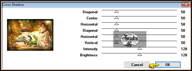 Effecten - Insteekfilters - Graphics Plus - Cross Shadow