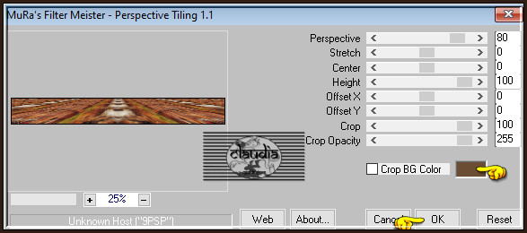 Effecten - Insteekfilters - MuRa's Meister - Perspective Tiling : Crop BG Color = 1ste kleur