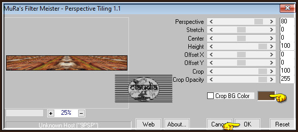 Effecten - Insteekfilters - MuRa's Meister - Perspective Tiling : Crop BG Color = 1ste kleur 