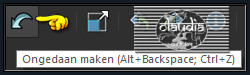 Klik 1 x op het "Ongedaan maken" pijltje