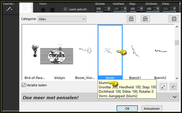 Activeer het Penseelgereedschap en zoek de zonet opgeslagen Brushe "blumi" met deze instellingen :