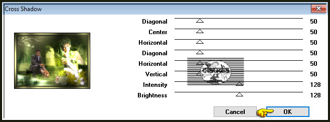 Effecten - Insteekfilters - Graphics Plus - Cross Shadow :