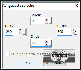 Activeer het Selectiegereedschap (toets S op het toetsenbord) - Aangepaste selectie met deze instellingen