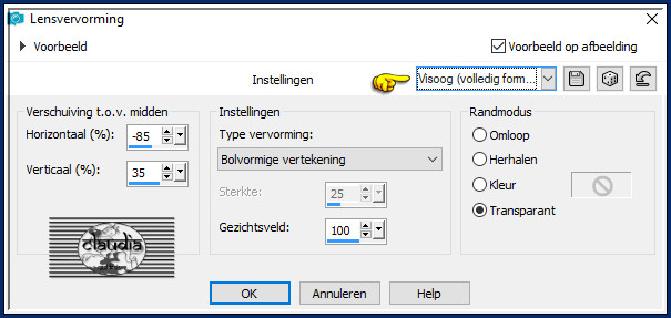 Effecten - Vervormingseffecten - Lensvervorming