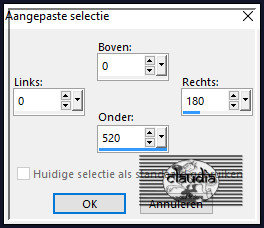 Activeer het Selectiegereedschap (toets S op het toetsenbord) - Aangepaste selectie en voer deze getallen in