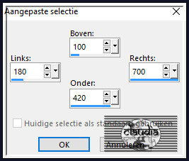 Activeer het Selectiegereedschap (toets S op het toetsenbord) - Aangepaste selectie en voer deze getallen in 