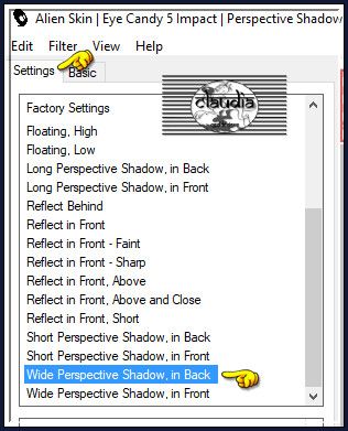 Effecten - Insteekfilters - Alien Skin Eye Candy 5 : Impact - Perspective Shadow