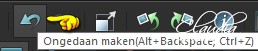 Klik 1 x op het "Ongedaan maken" pijltje 