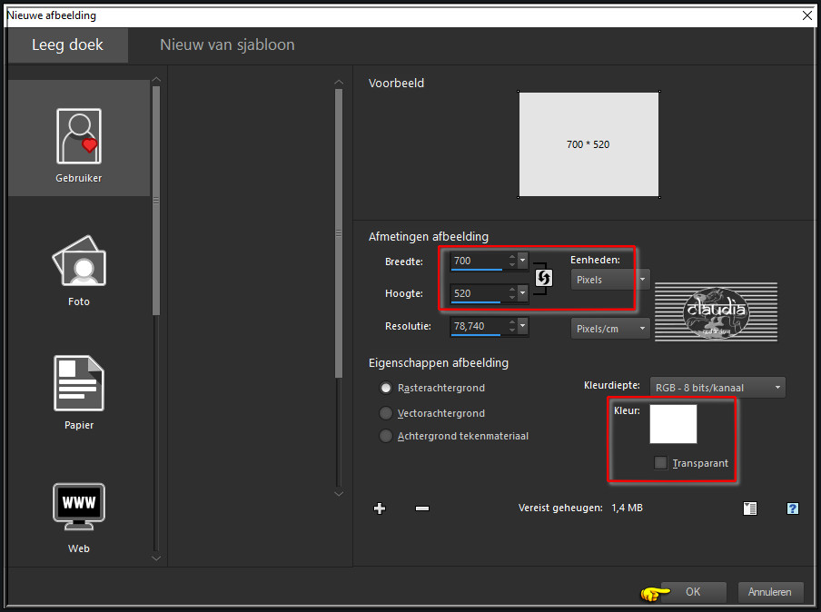 Open een Nieuwe afbeelding van 700 x 520 px, wit :
