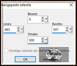 Activeer opnieuw het Selectiegereedschap (toets S op het toetsenbord) - Aangepaste selectie en voer deze getallen in