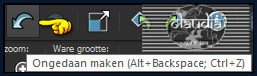 Klik 1 x op het "Ongedaan maken" pijltje