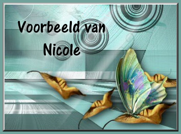 Het Voorbeeld van Nicole zie je hieronder :