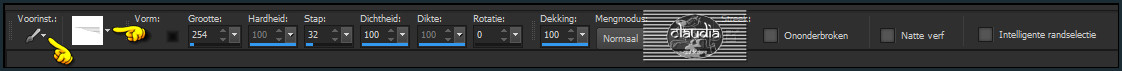 Activeer het Penseelgereedschap en zoek de zonet opgeslagen brushe met deze instellingen