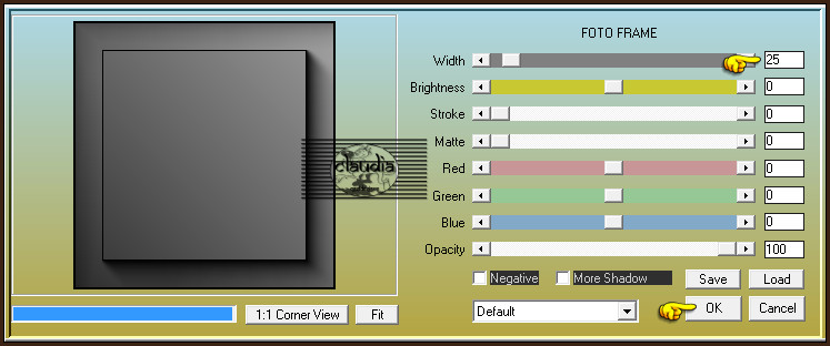 Effecten - Insteekfilters - AAA Frames - Foto Frame