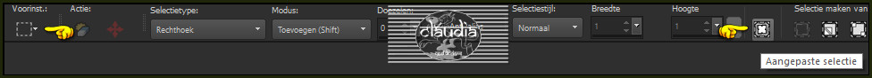 Activeer het Selectiegereedschap (toets S op het toetsenbord) - Aangepaste selectie