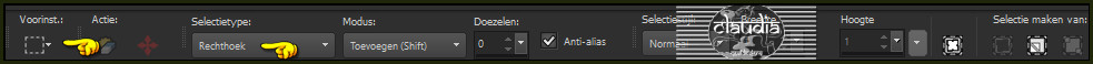 Activeer het Selectiegereedschap (toets S op het toetsenbord) - Rechthoek