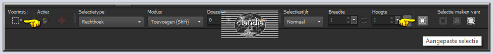 Activeer het Selectiegereedschap (druk op de S toets) - Aangepaste selectie