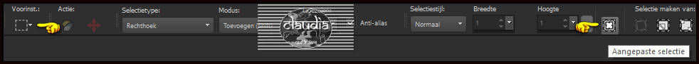 Activeer het Selectiegereedschap (toets S op het toetsenbord) - Aangepaste selectie