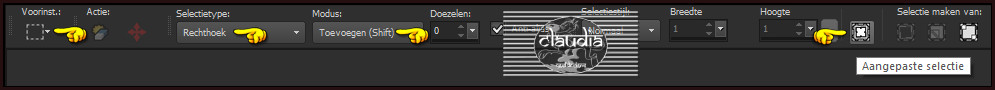 Activeer het Selectiegereedschap (toets S op het toetsenbord) - Aangepaste selectie