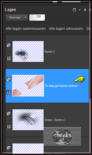 Activeer de 4de laag onderaan in het Lagenpallet (= Tot laag gemaakte selectie