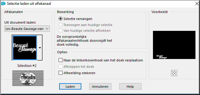 Selecties - Selectie laden/opslaan - Selectie laden uit alfakanaal : Sélection #2