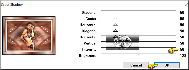 Effecten - Insteekfilters - Graphics Plus - Cross Shadow