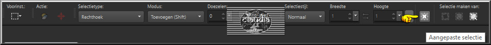 Activeer het Selectiegereedschap (toets S op het toetsenbord) - Aangepaste selectie 