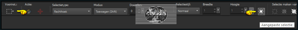 Activeer het Selectiegereedschap (toets S op het toetsenbord) - Aangepaste selectie