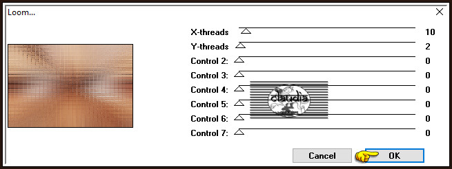 Effecten - Insteekfilters - FunHouse - Loom