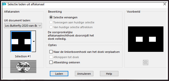 Selecties - Selectie laden/opslaan - Selectie laden uit alfakanaal : Selection #1