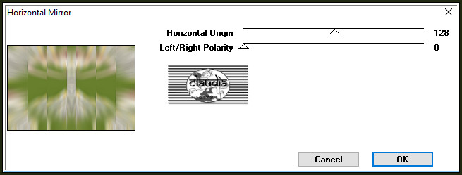 Effecten - Insteekfilters - Graphics Plus - Horizontal Mirror