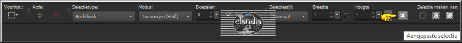 Activeer het Selectiegereedschap (toets S op het toetsenbord) - Aangepaste selectie