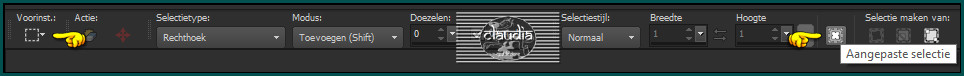 Activeer het Selectiegereedschap (toets S op het toetsenbord) - Aangepaste selectie
