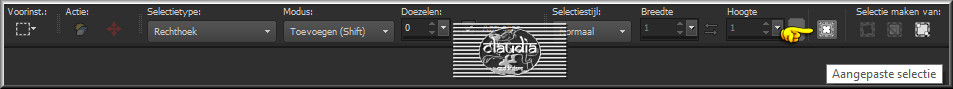 Activeer het Selectiegereedschap (toets S op het toetsenbord) - Aangepaste selectie