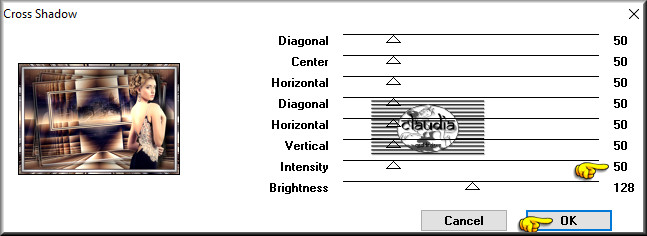 Effecten - Insteekfilters - Graphics Plus - Cross Shadow