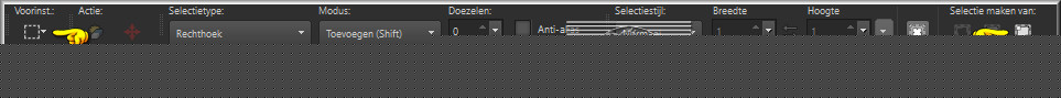 Activeer het Selectiegereedschap (toets S op het toetsenbord) - Aangepaste selectie