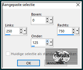 Activeer het Selectiegereedschap (toets S op het toetsenbord) - Aangepaste selectie en voer deze getallen in