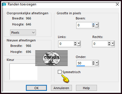 Afbeelding - Randen toevoegen : Kleur = 3de kleur