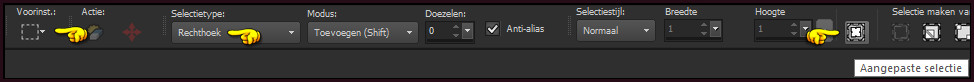 Activeer het Selectiegereedschap (toets S op het toetsenbord) - Aangepaste selectie :