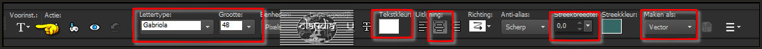 Activeer het Tekstgereedschap met deze instellingen
