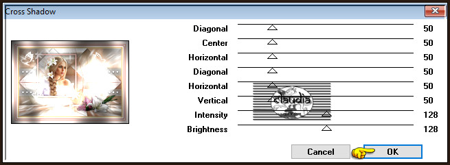 Effecten - Insteekfilters - Graphics Plus - Cross Shadow